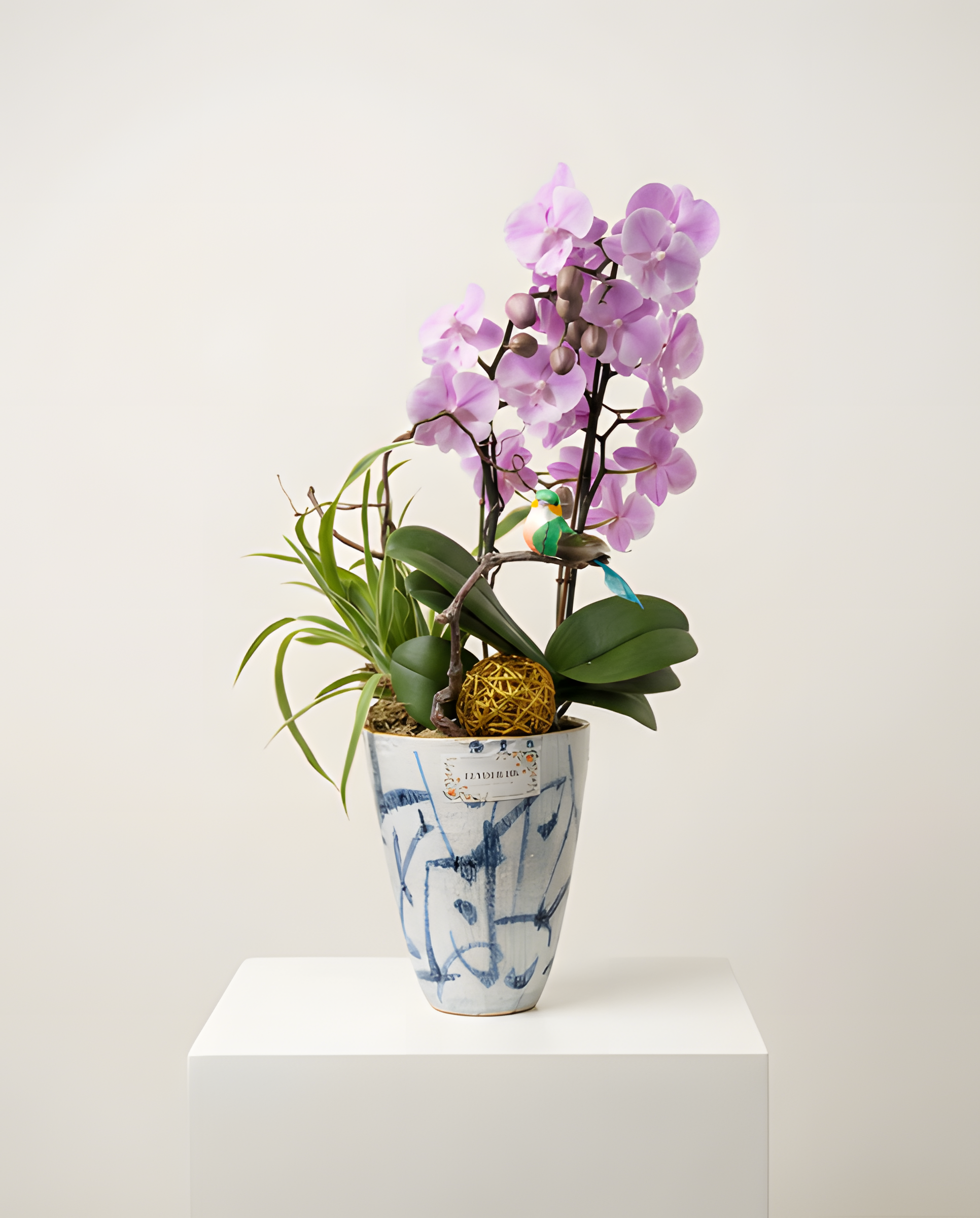 鴻運當頭・青瓷雀鳥蘭