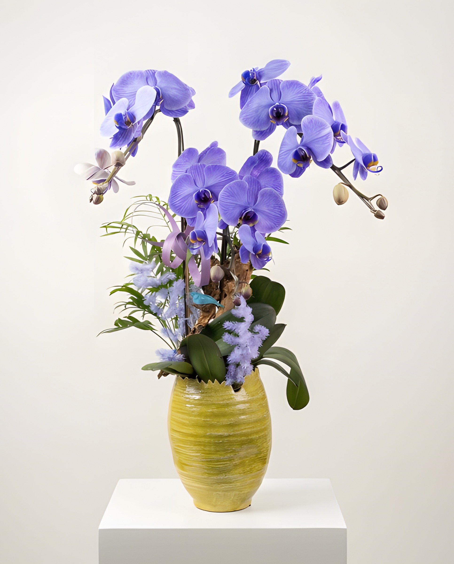 福運藍天・黃金紋陶蘭