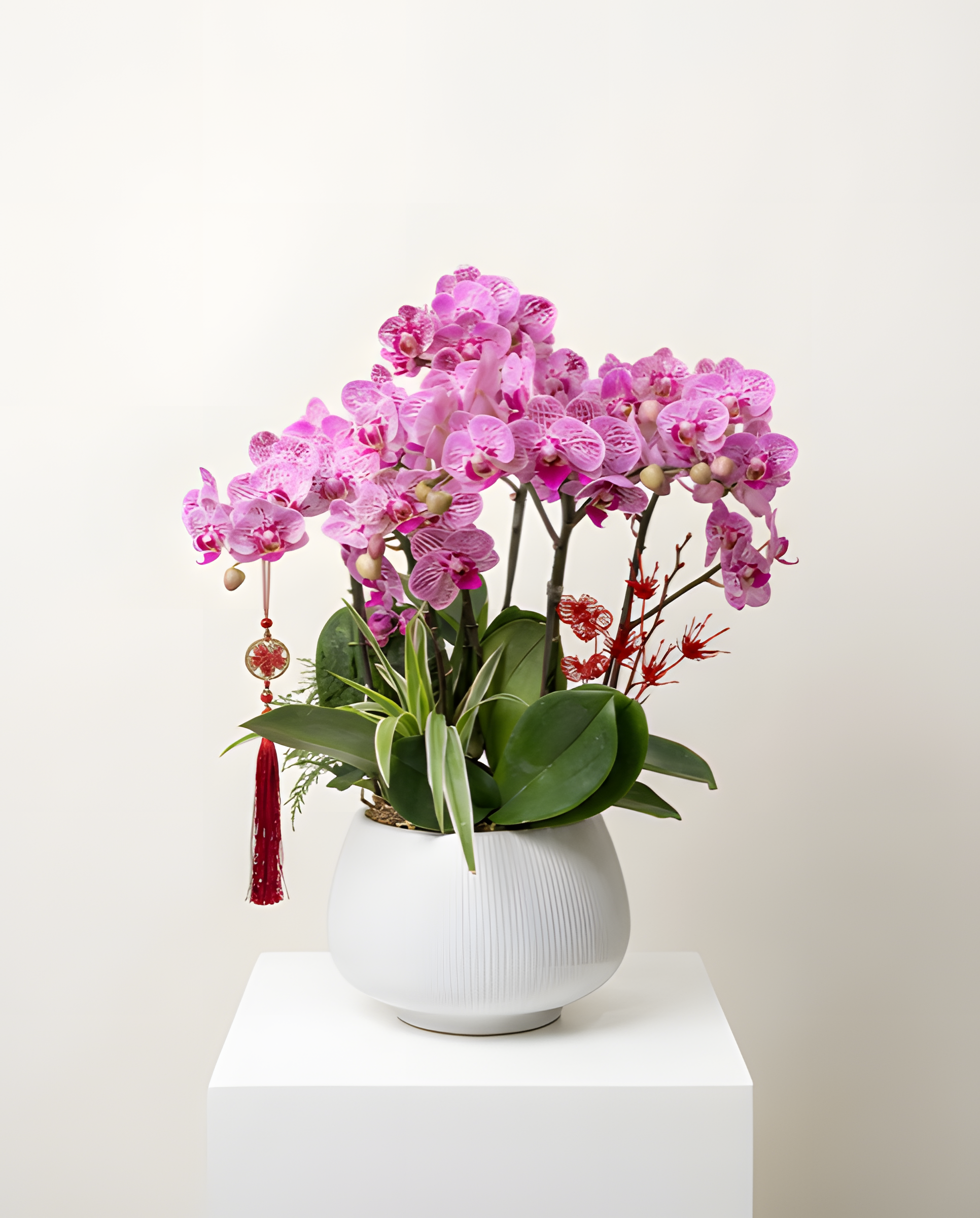 繁花似錦・幸運斑點蘭