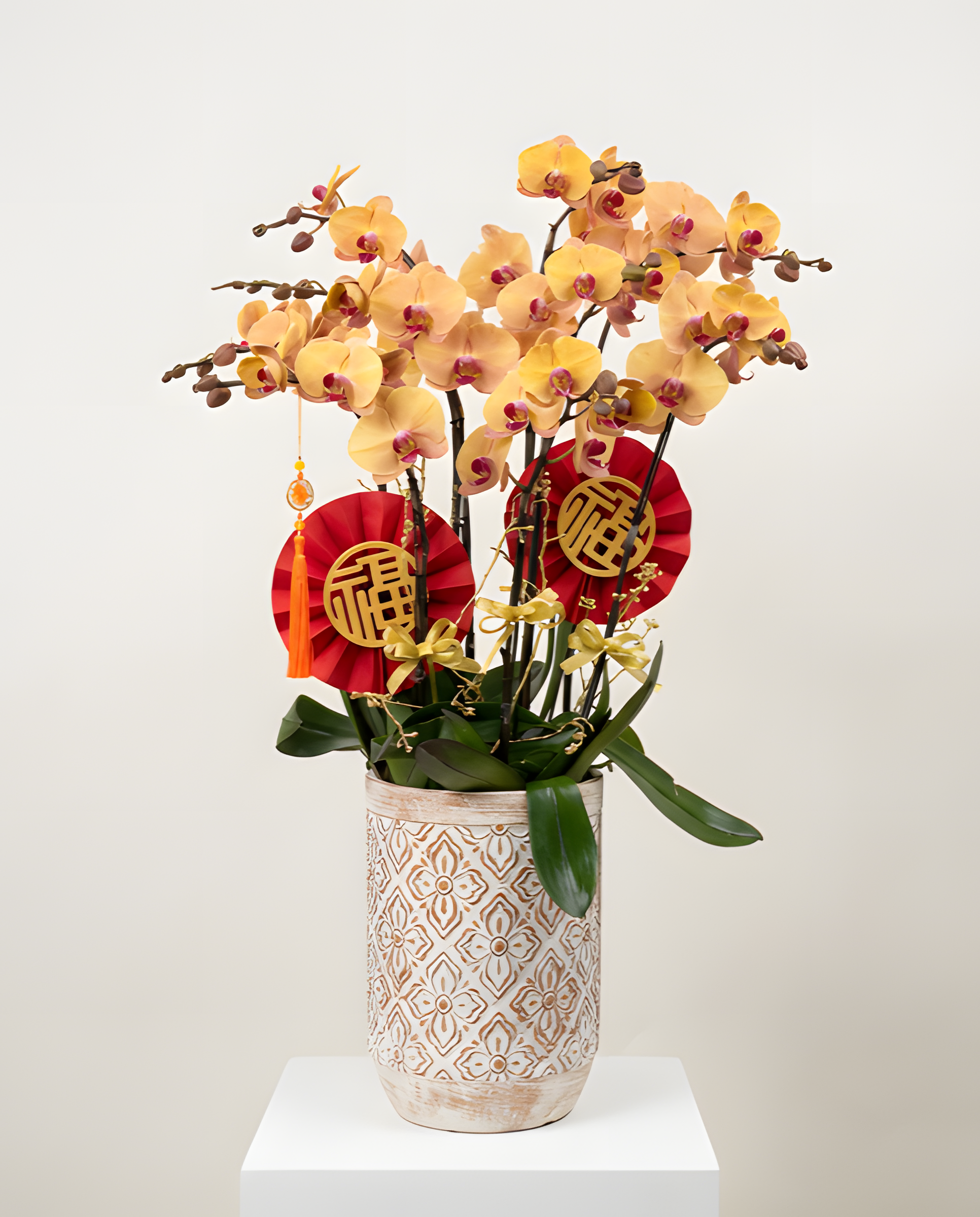 步步高陞・帝王黃金蘭