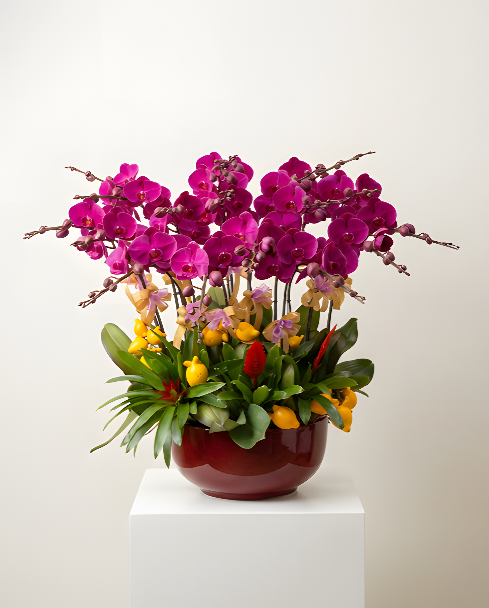 紅紅火火・吉祥桃紅蘭