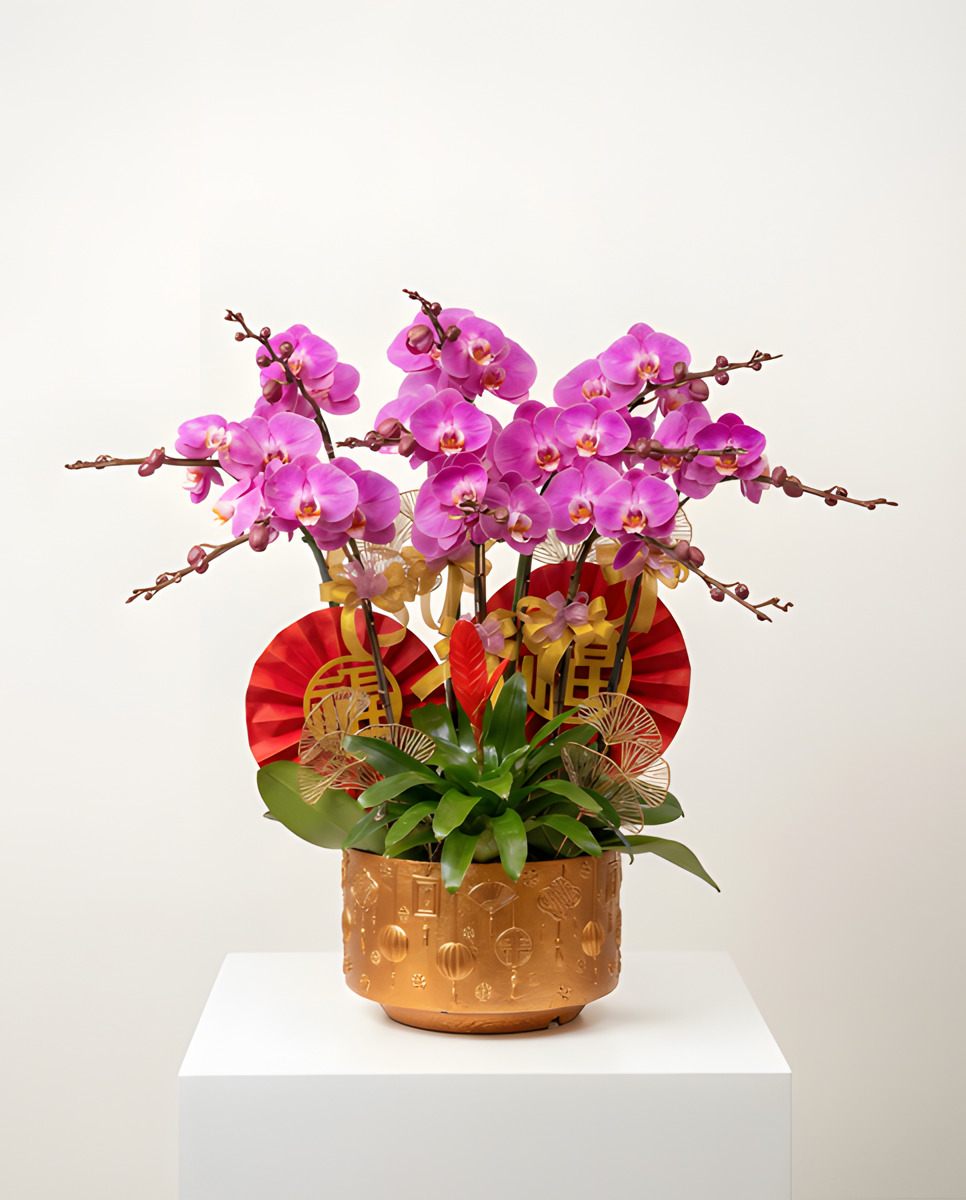 金扇迎春・鴻運粉蘭