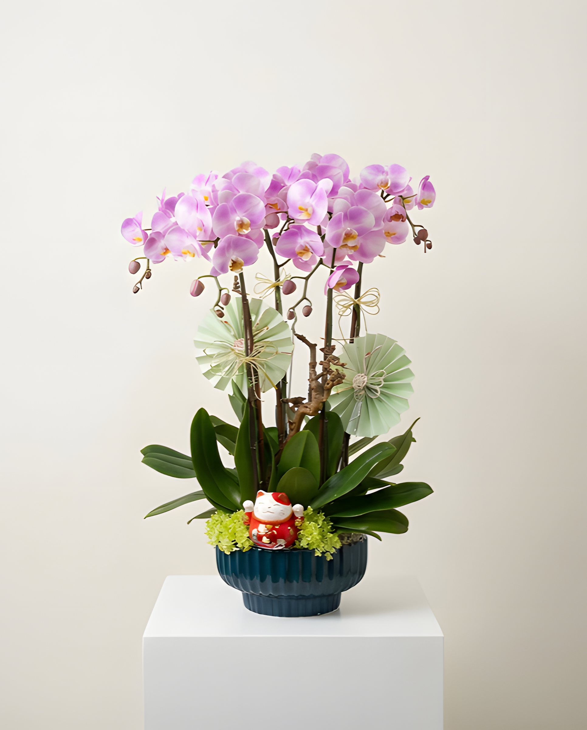 財源滾滾・招財貓粉蘭